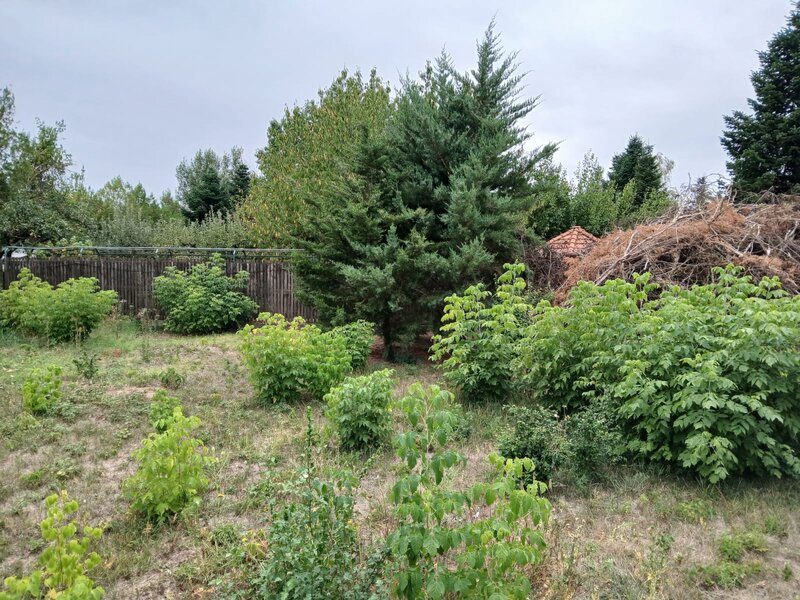 Vladiceasca, Snagov,