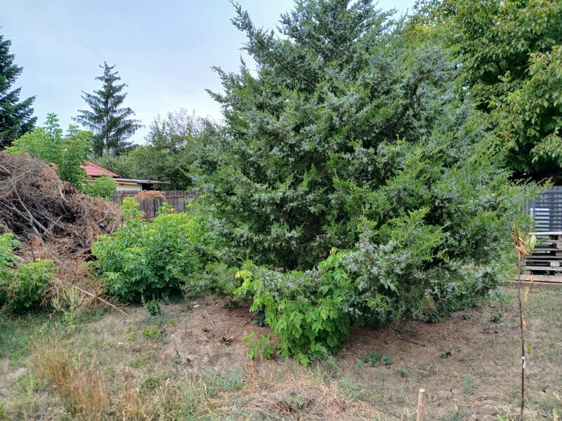 Vladiceasca, Snagov,