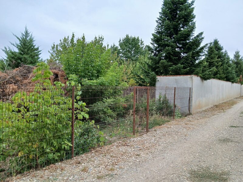 Vladiceasca, Snagov,
