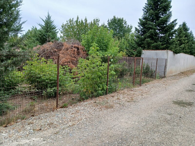 Vladiceasca, Snagov,