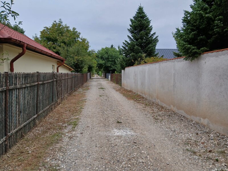 Vladiceasca, Snagov,